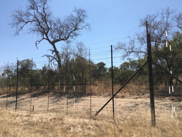 The Allegory of the fence (South Africa)