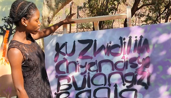 Street art to promote representation and epistemic justice (Zimbabwe)
