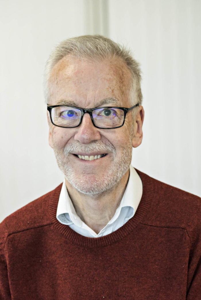 Professor David Stephens (Co-Investigator)